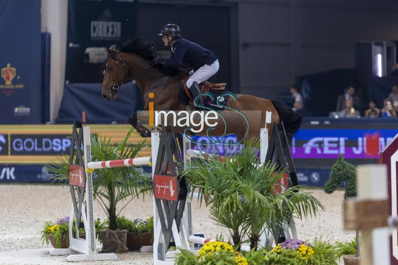 Cottard Gregory (FRA) riding Idylle Chavannaise_Verona_20241109_SS358644.jpg
